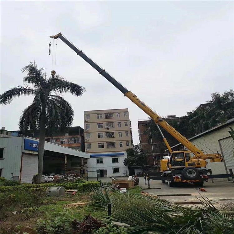 增城汽车吊出租多少钱？全面解析与市场行情